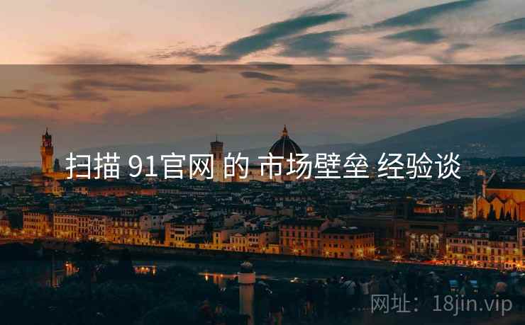 扫描 91官网 的 市场壁垒 经验谈