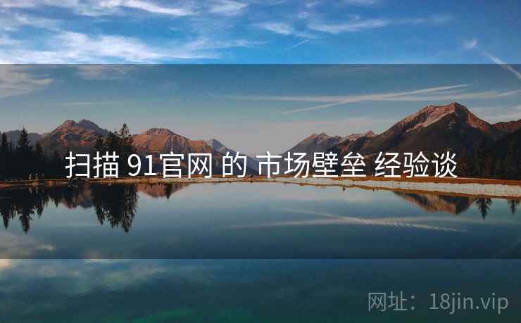 扫描 91官网 的 市场壁垒 经验谈