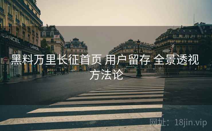 黑料万里长征首页 用户留存 全景透视 方法论