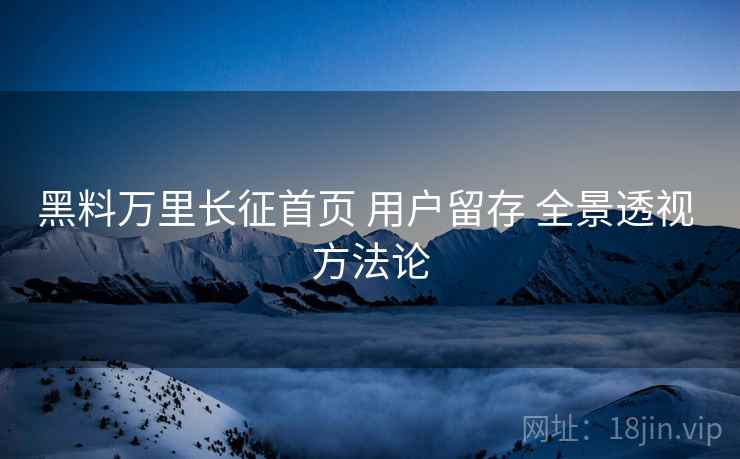 黑料万里长征首页 用户留存 全景透视 方法论
