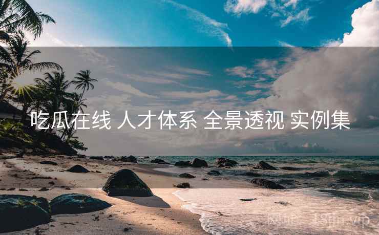 吃瓜在线 人才体系 全景透视 实例集