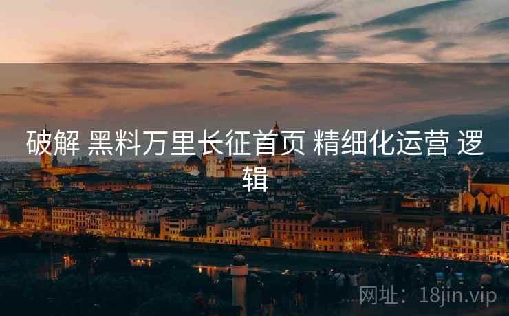 破解 黑料万里长征首页 精细化运营 逻辑