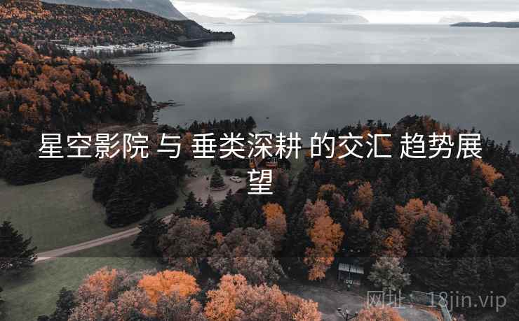 星空影院 与 垂类深耕 的交汇 趋势展望