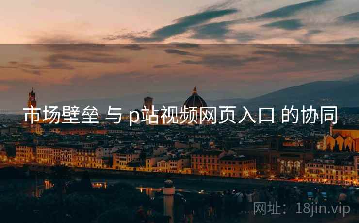 市场壁垒 与 p站视频网页入口 的协同