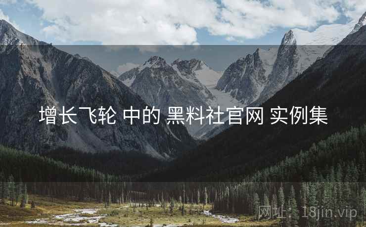增长飞轮 中的 黑料社官网 实例集