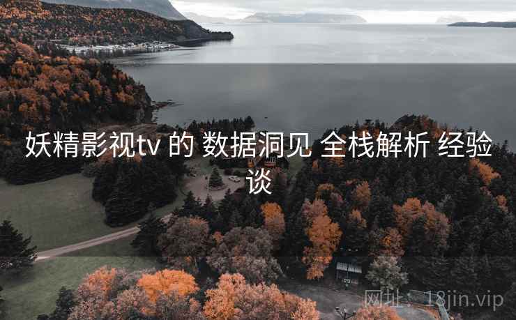 妖精影视tv 的 数据洞见 全栈解析 经验谈