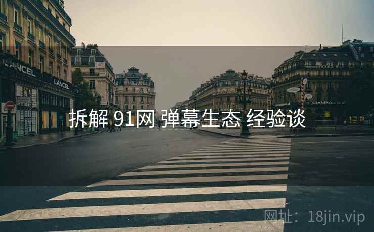 拆解 91网 弹幕生态 经验谈