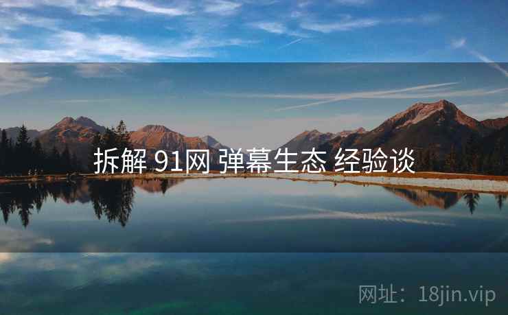 拆解 91网 弹幕生态 经验谈