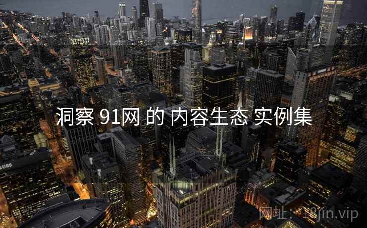 洞察 91网 的 内容生态 实例集