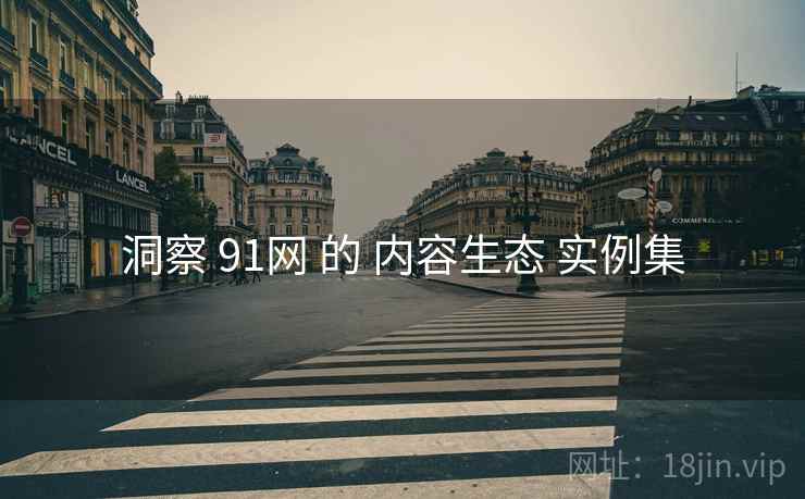 洞察 91网 的 内容生态 实例集