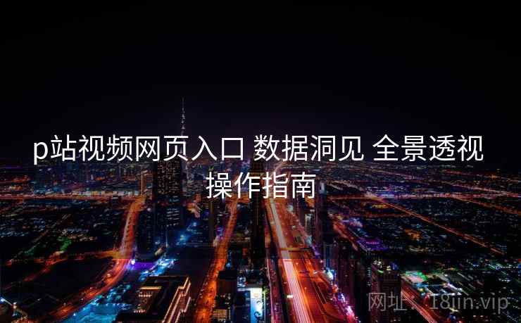 p站视频网页入口 数据洞见 全景透视 操作指南