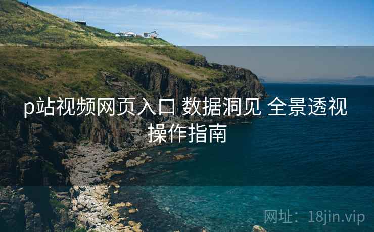 p站视频网页入口 数据洞见 全景透视 操作指南