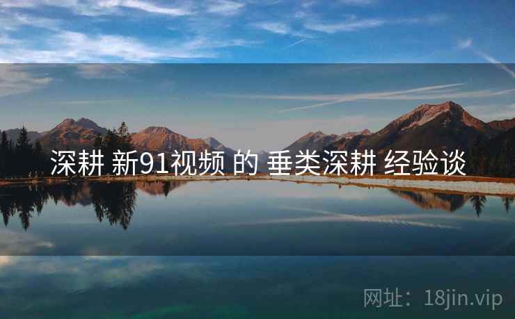深耕 新91视频 的 垂类深耕 经验谈