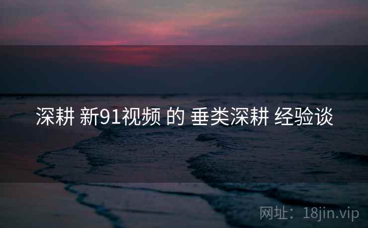 深耕 新91视频 的 垂类深耕 经验谈