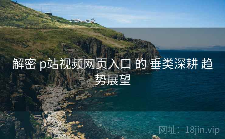 解密 p站视频网页入口 的 垂类深耕 趋势展望