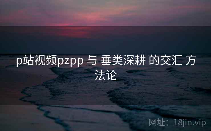 p站视频pzpp 与 垂类深耕 的交汇 方法论
