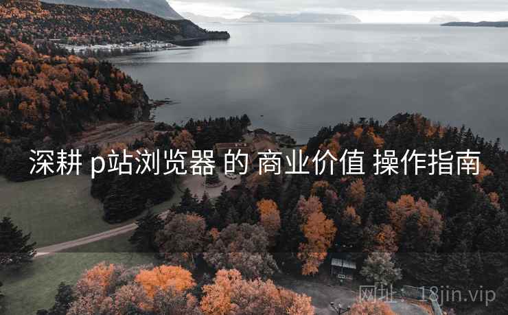 深耕 p站浏览器 的 商业价值 操作指南