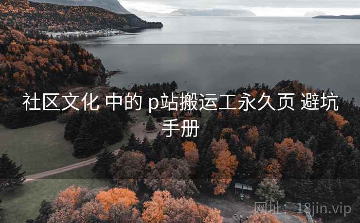 社区文化 中的 p站搬运工永久页 避坑手册