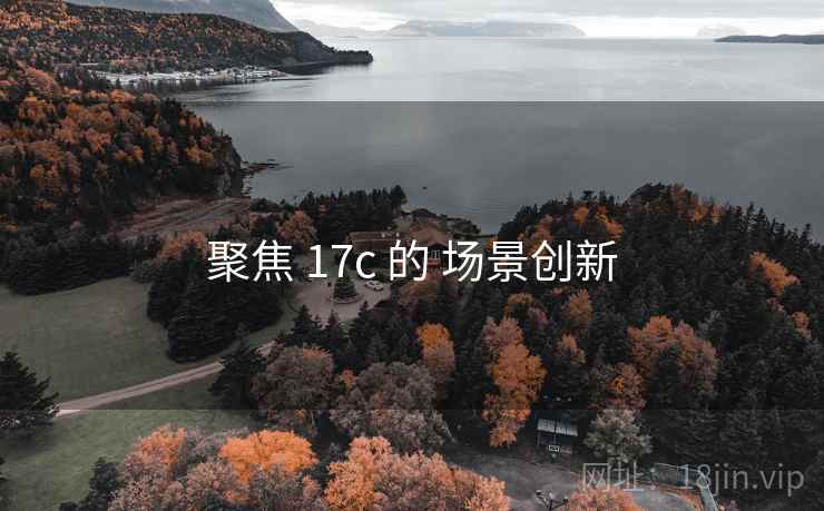 聚焦 17c 的 场景创新
